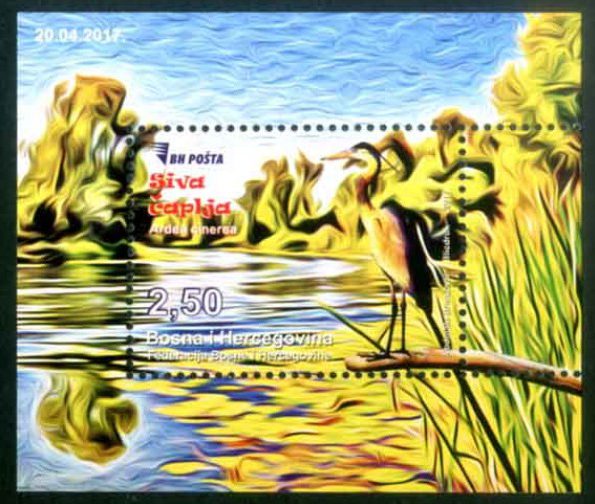 Fauna – Siva čaplja