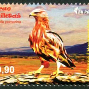 Fauna  – Eagle (Aquila Pomarina)