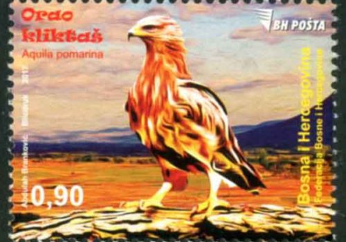 Fauna  – Eagle (Aquila Pomarina)