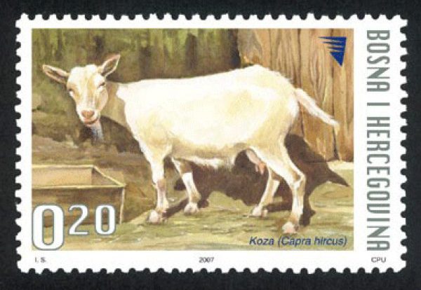 DOMAĆE ŽIVOTINJE – Koza (redovna marka)