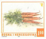 REDOVNA MARKA: Povrće – Mrkva