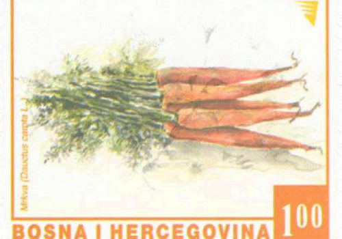 REDOVNA MARKA: Povrće – Mrkva