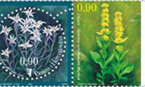 FLORA – Endemične Vrste – Runolist I Lincura