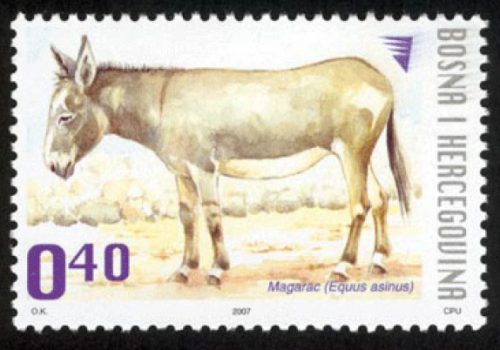 DOMAĆE ŽIVOTINJE – Magarac (redovna Marka)