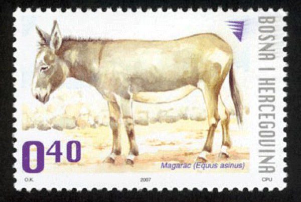 DOMAĆE ŽIVOTINJE – Magarac (redovna marka)
