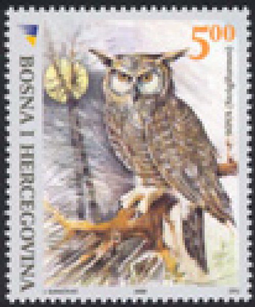 REDOVNO IZDANJE – Fauna – Sova