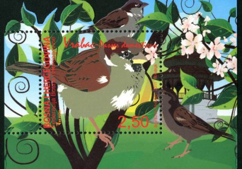 FAUNA – Vrabac (Blok Marka)