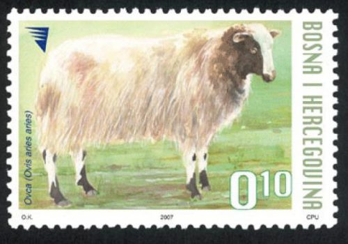 DOMAĆE ŽIVOTINJE – Ovca (redovna Marka)