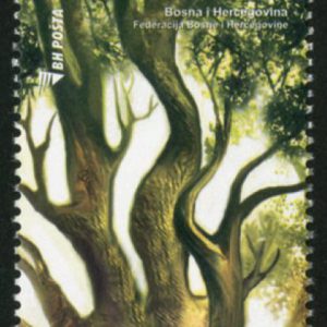 EUROPA – Forests