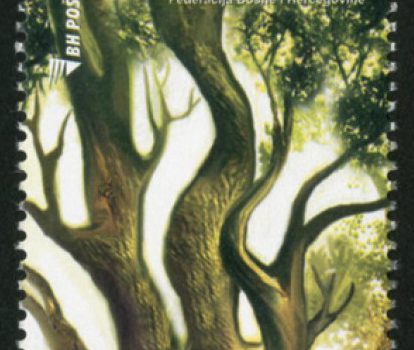 EUROPA – Forests
