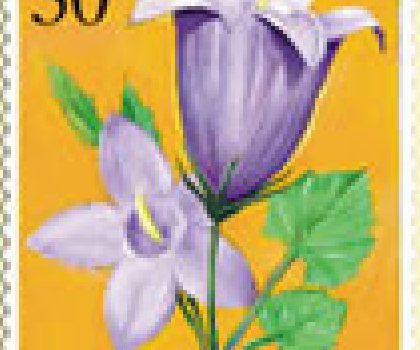 FLORA – Endemi BiH, Hercegovački Zvončić