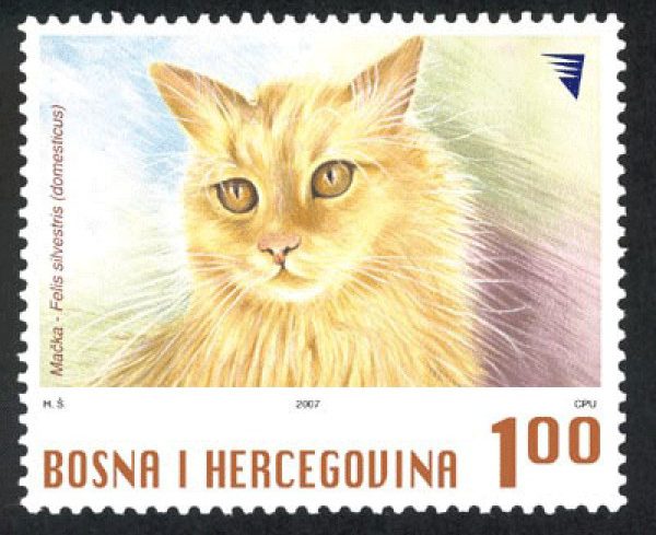 DOMAĆE ŽIVOTINJE – Mačka (redovna marka)