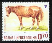 DOMAĆE ŽIVOTINJE – Konj (redovna Marka)