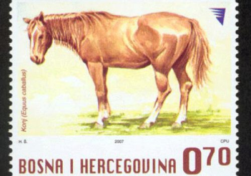 DOMAĆE ŽIVOTINJE – Konj (redovna Marka)