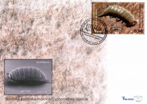 FDC Tajanska Pecinska Mokrica003