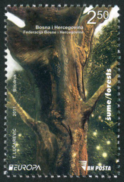 EVROPA – Šume