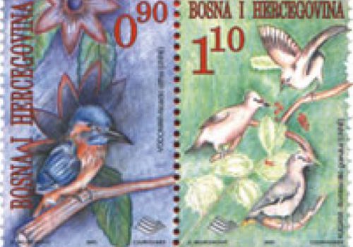 FAUNA – Ptice – Vodomari I Kugara
