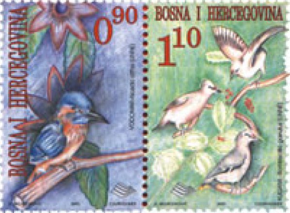 FAUNA – Ptice – Vodomari i Kugara