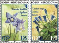 FLORA – Dinarska Kandilka I Dinarski Encijan