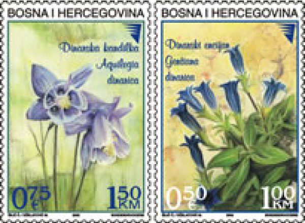 FLORA – Dinarska kandilka i Dinarski encijan