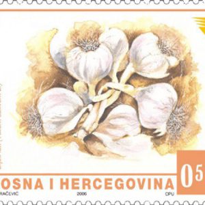 Vegetable – Garlic And Carrot