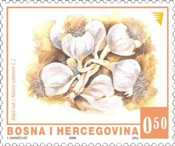 REDOVNA MARKA: Povrće – Bijeli luk