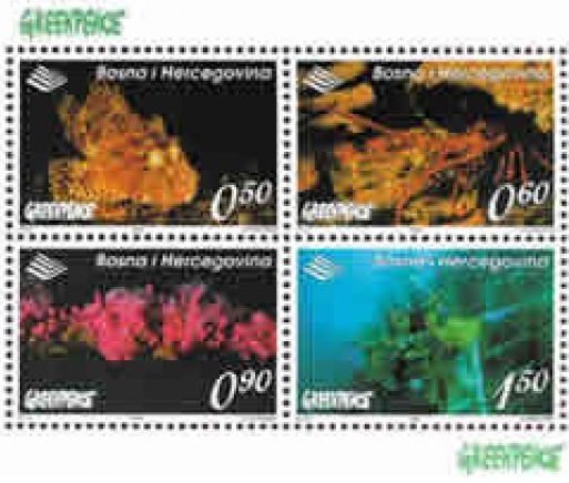 GREENPEACE – Morska flora