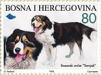 FAUNA – Bosanski Ovčar “Tornjak”