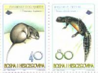 FAUNA – Dinarska Voluharica I Rajzerov Triton