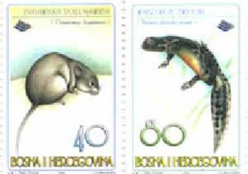FAUNA – Dinarska Voluharica I Rajzerov Triton