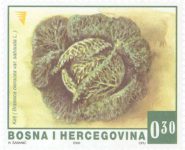 REDOVNA MARKA: Povrće – Kelj