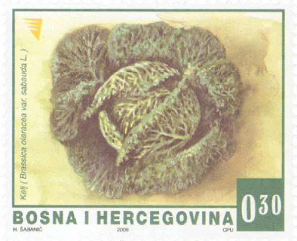 REDOVNA MARKA: Povrće – Kelj