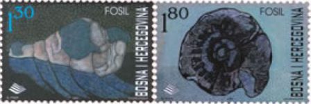 PRAHISTORIJA – Fosili Trijaske Faune – Puževi