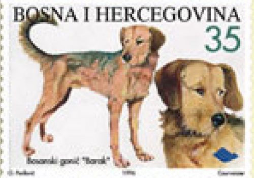 FAUNA – Bosanski Gonič “Barak”