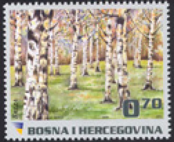 REDOVNO IZDANJE – Flora – Breza