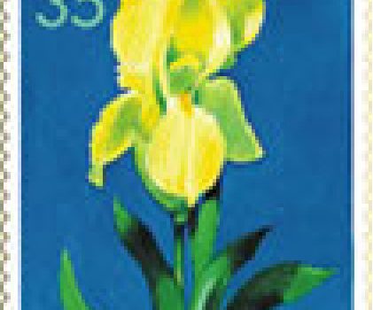 FLORA – Endemi BiH, Bosanska Perunika