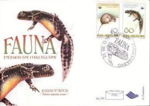 Fauna 4