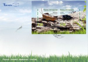 Fdc Insekti