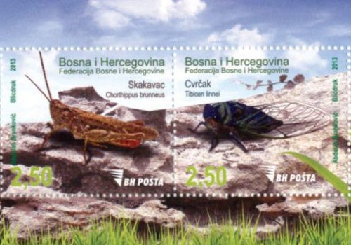 Fauna – Insekti, Skakavac I Cvrčak