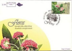 Sarajevska Udovia