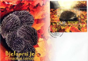 Jez FDC