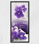 FLORA – Proljetno Cvijeće: Ljubičica, Redovna Marka