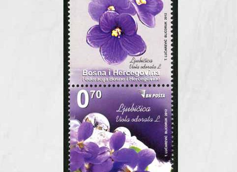 FLORA – Proljetno Cvijeće: Ljubičica, Redovna Marka