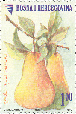 VOCE – Kruška, redovna marka