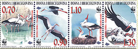 WWF – Bijela roda