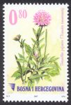 FLORA – Travnicka Prženica