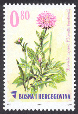 FLORA – Travnicka prženica