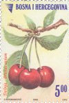 VOCE – Trešnja, Redovna Marka