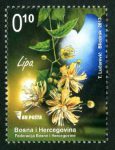 Medonosne Biljke Lipa