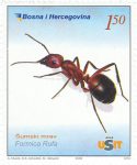 FAUNA – Šumski Mrav